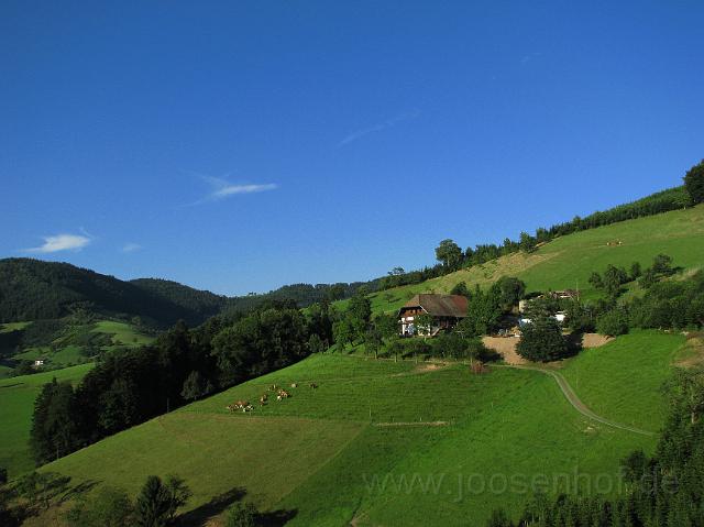 Im Muerrenbach.JPG